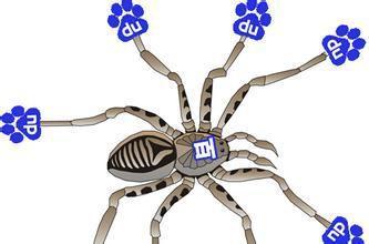 百度蜘蛛ip段大全解析_2022百度蜘蛛最全分析.jpeg 百度蜘蛛ip段大全解析_2022百度蜘蛛最全分析