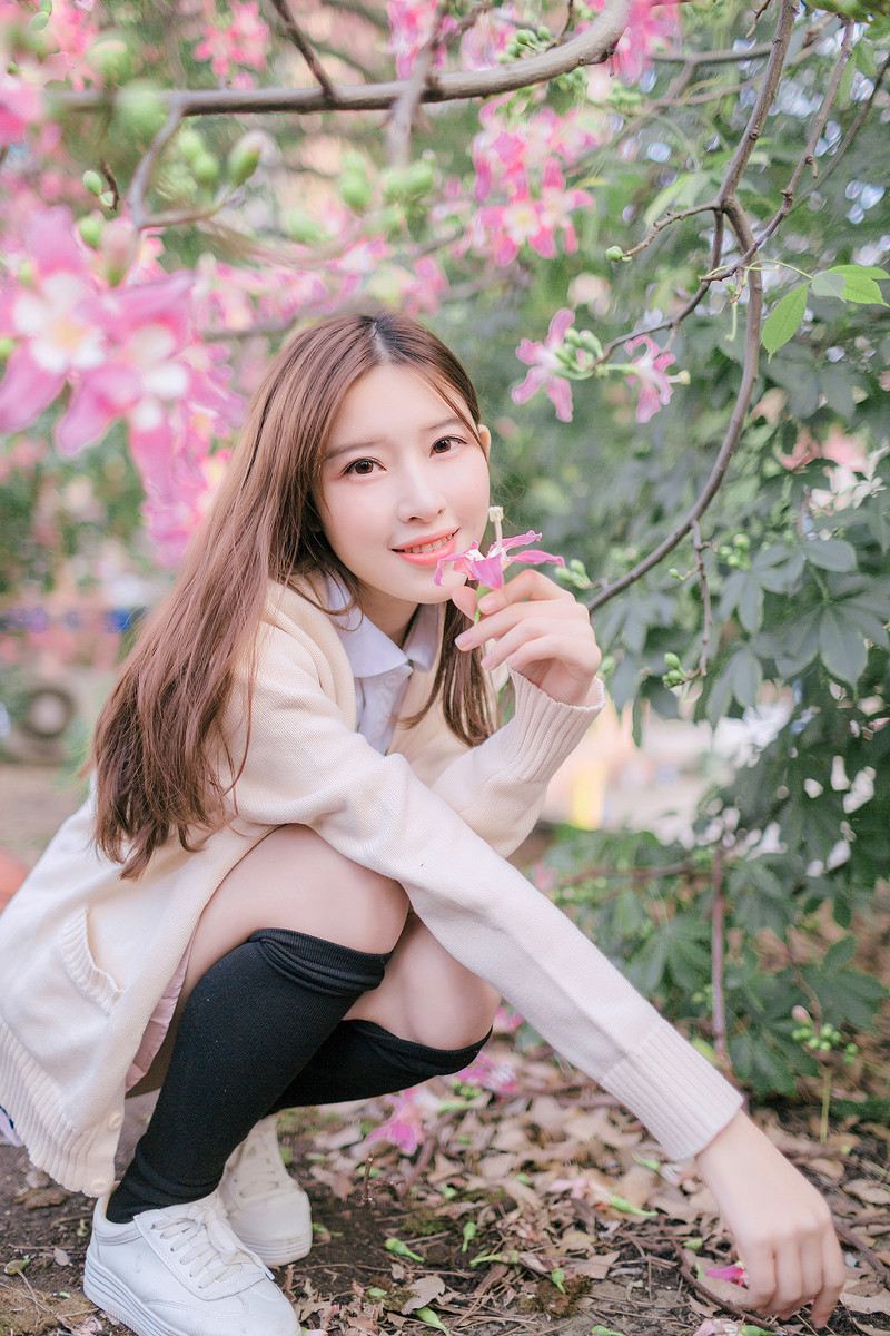 紫荆花开清纯写真