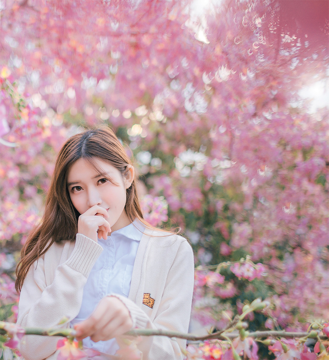 紫荆花开清纯写真