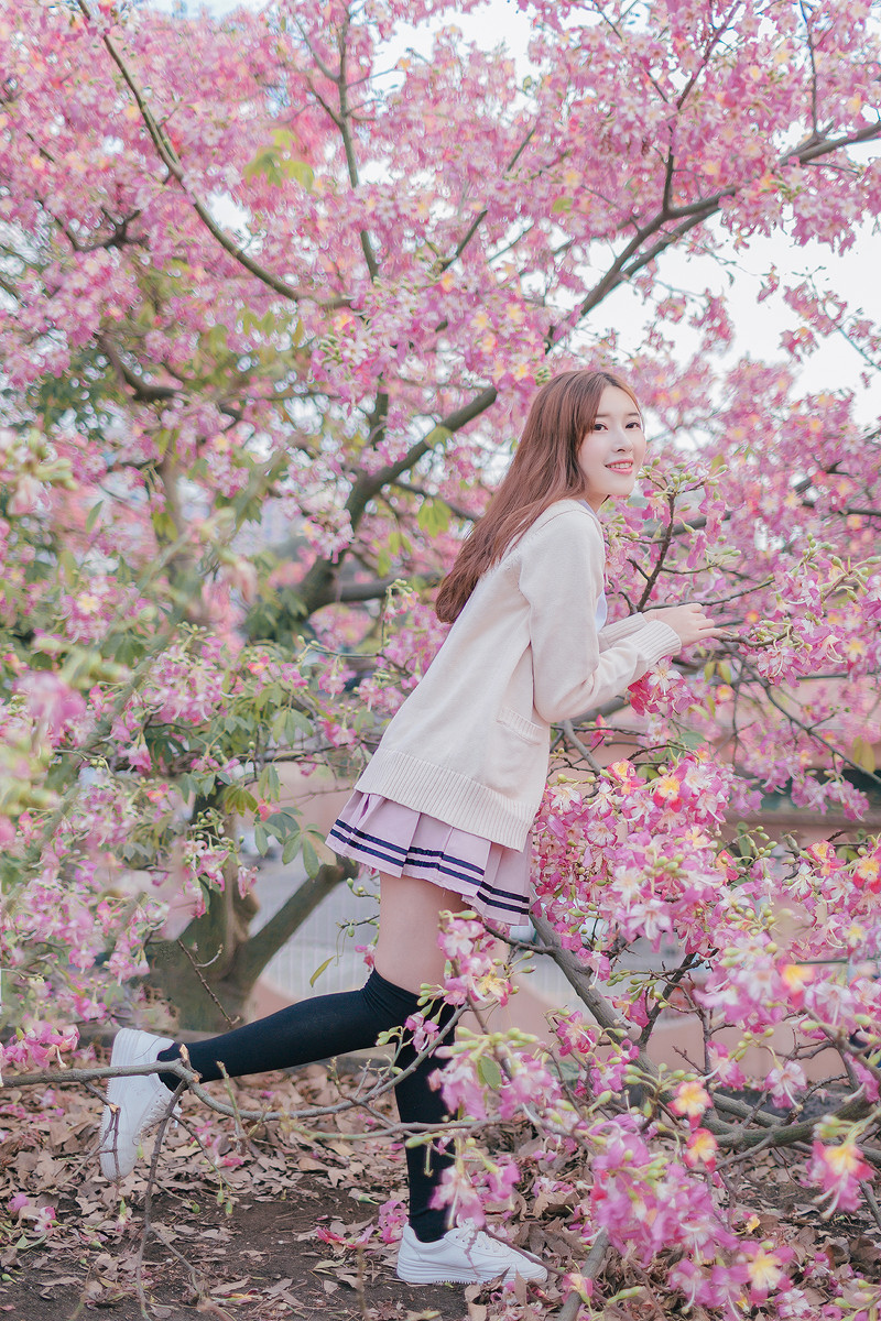 紫荆花开清纯写真