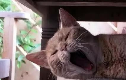 癌症病人为什么会失眠？如何快速入睡？