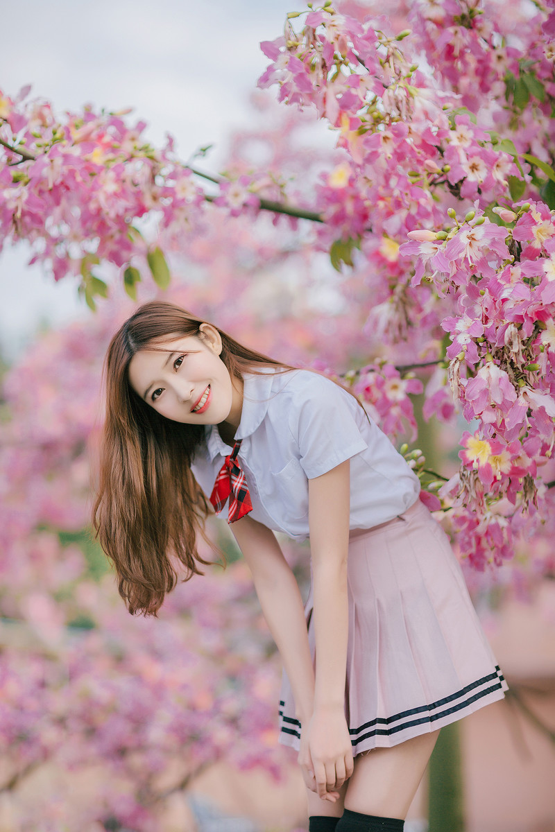 紫荆花开清纯写真