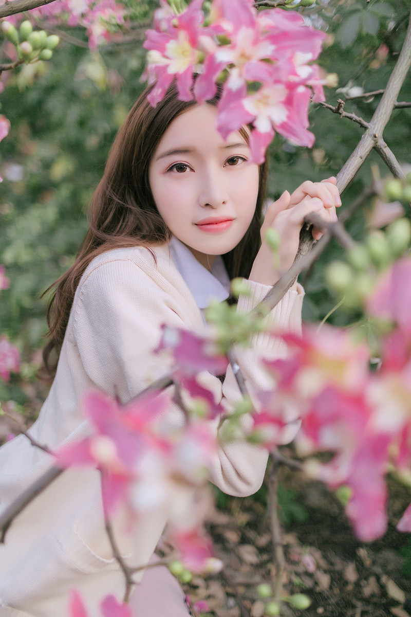 紫荆花开清纯写真