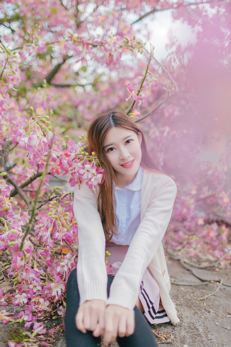 紫荆花开清纯写真