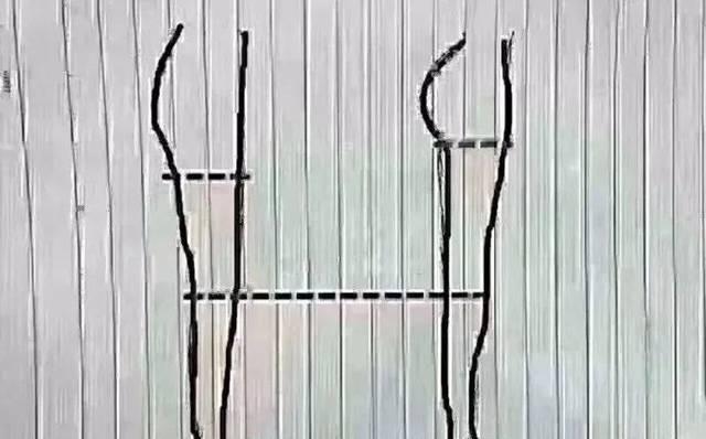 女生如何健身可以练出来大长腿？