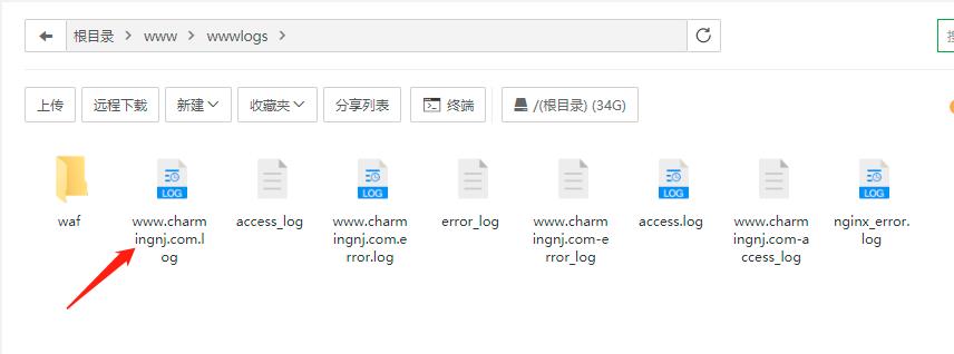 服务器的宝塔网站日志在哪里看？