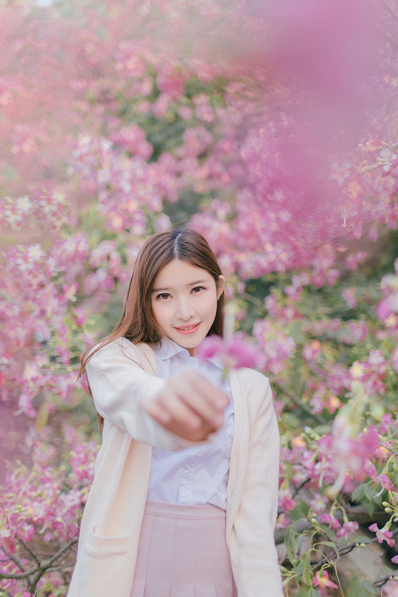 紫荆花开清纯写真