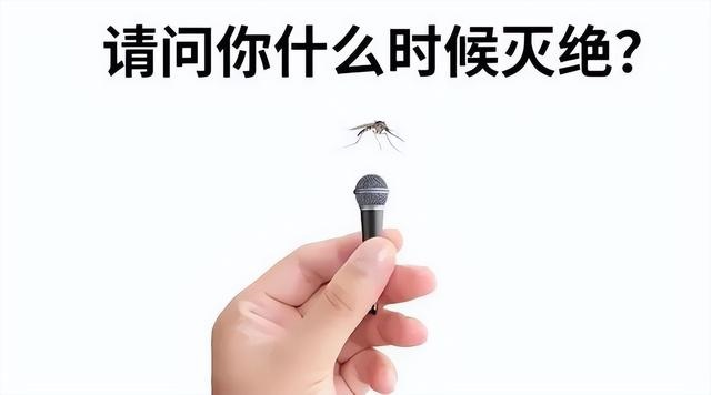 今年的蚊子好像变少了，蚊子难道也怕热北上避暑了？