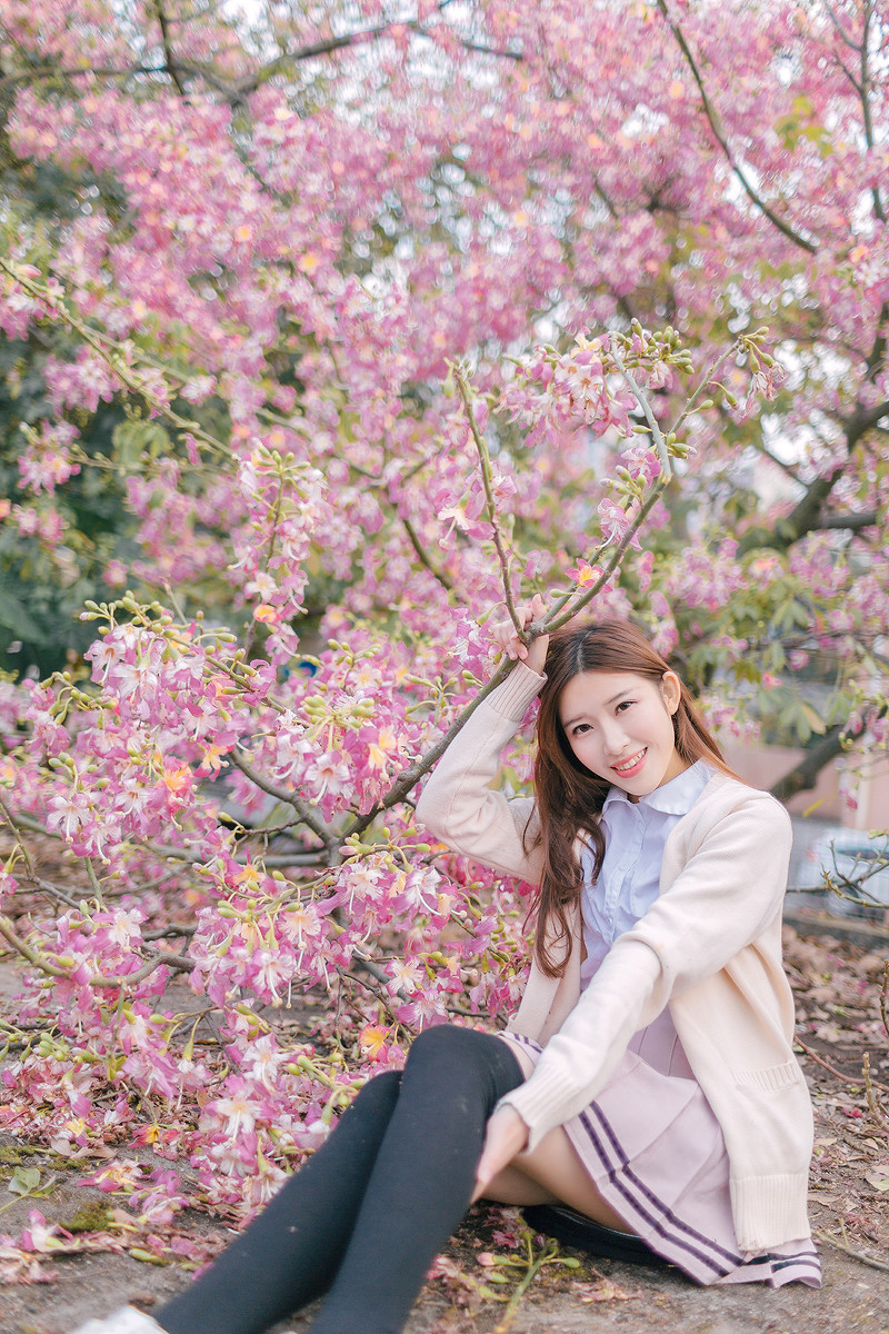 紫荆花开清纯写真